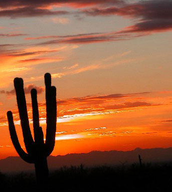 Arizona Sunset